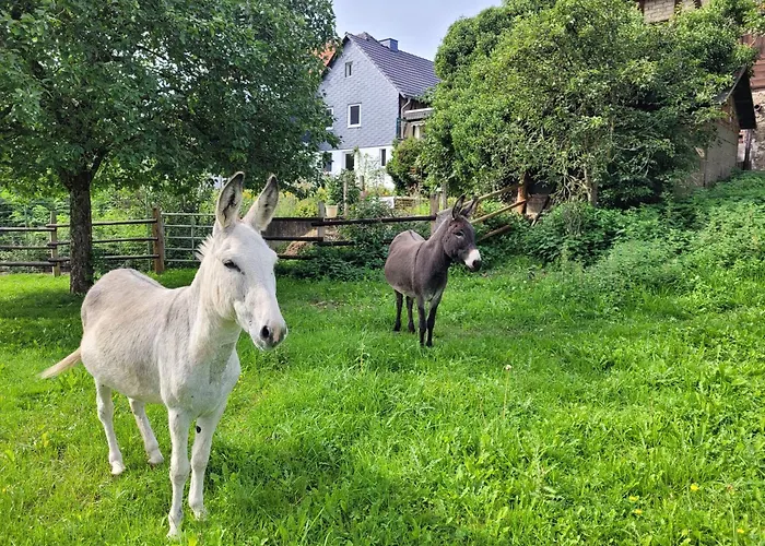 Сasa de vacaciones Historisches 